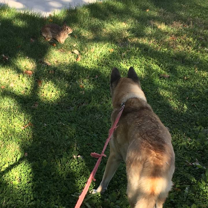 76131ad1 2169 4413 a6d1 f1094b46e7e0