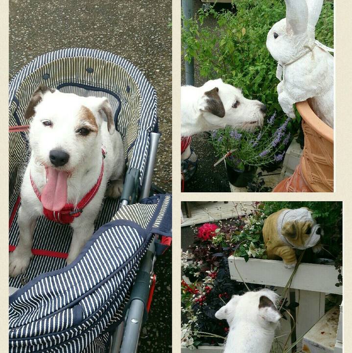 7613f03b 49c3 4a1c be14 7644f0160e34