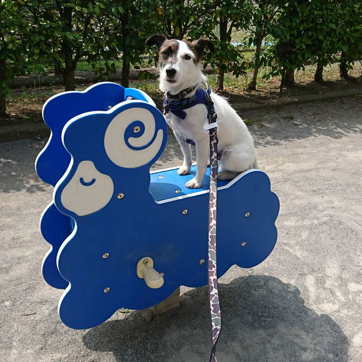 76140113 fe51 4e61 8cc6 9a8bb2dacc2b