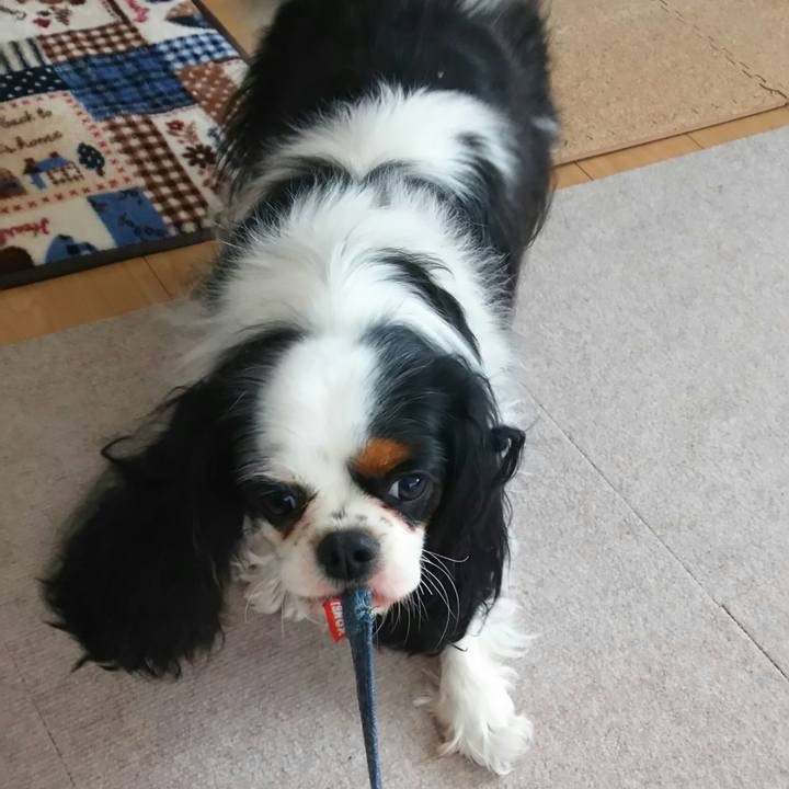 76143773 fb9f 4bb3 a1d4 d7ed820ff7a9