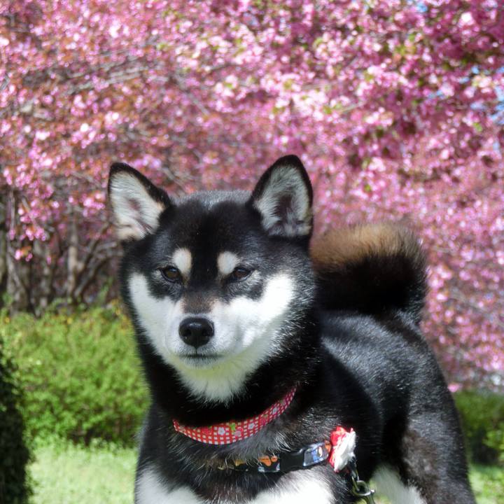 76148811 b3a0 455b b05f 0301ca229c4e