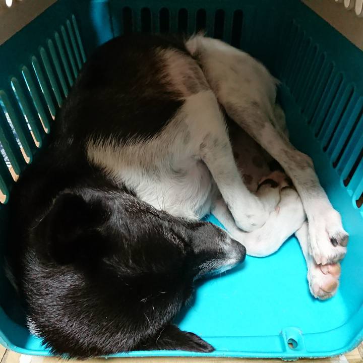 7614aacf 1a1c 4d67 b1fc b31da7367e3d