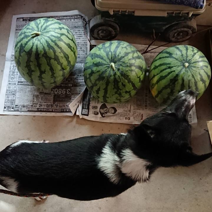 7614b6e0 34e1 489f 8cec b7071ac07b12