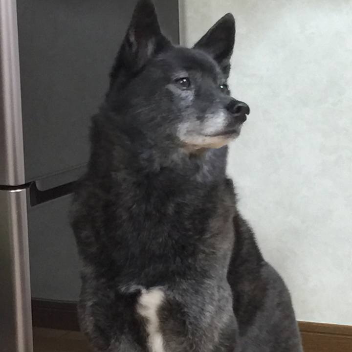 7614cdb8 3227 4435 9840 e898cbfb3a80