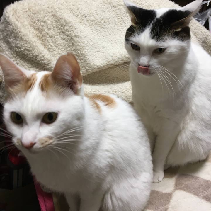 761534a1 8beb 4826 9151 061ea5fe6d30