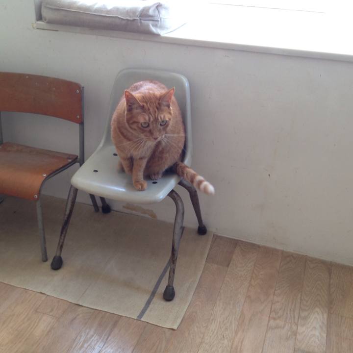 761545a0 d6dc 47a6 980d c5110e91cc69