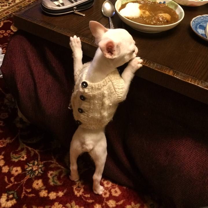 761611b6 3e18 4cfb bd33 ec1cd694351b