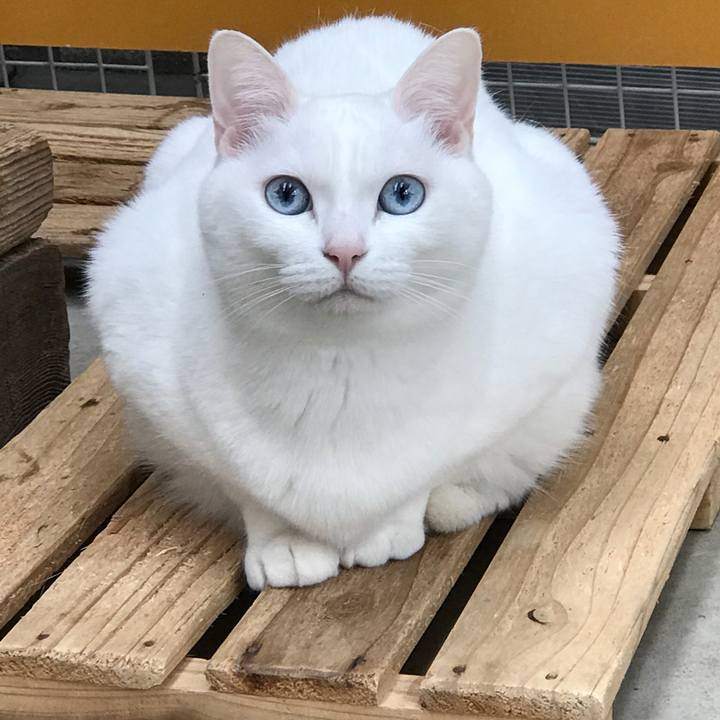 7616398d 9626 40e1 95c6 2b8826636507