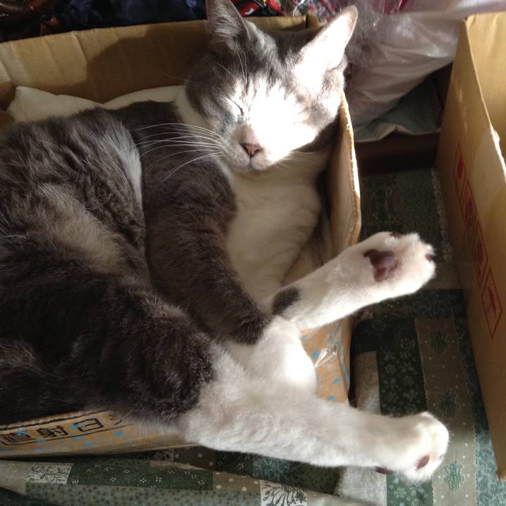 76171539 e217 4e66 8503 94dce7cf218b