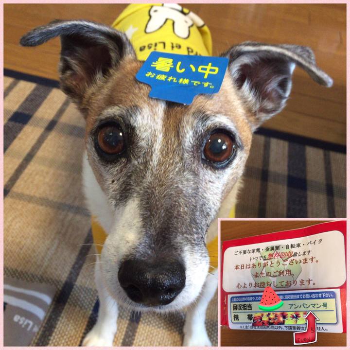 761719f6 0f66 46fb b427 60386c270757