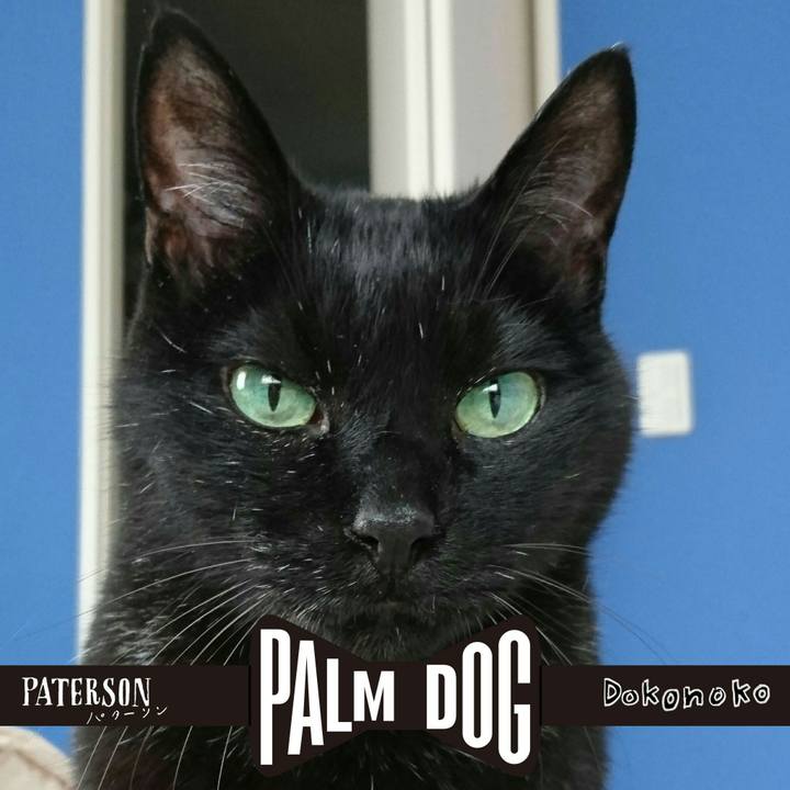 76174159 5fb2 43b5 adc4 8301378a2891