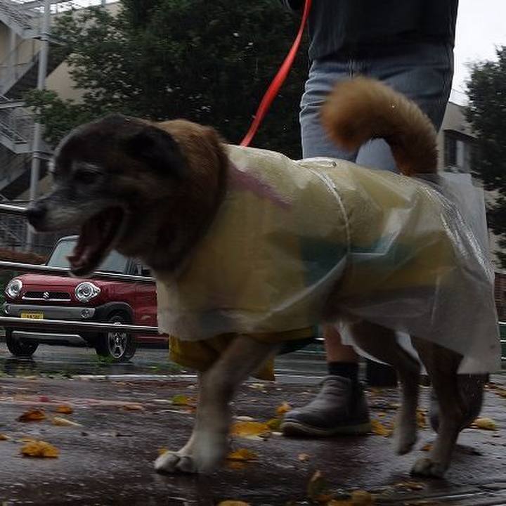 7617be12 e8a5 4427 9c56 efffff1ead9a