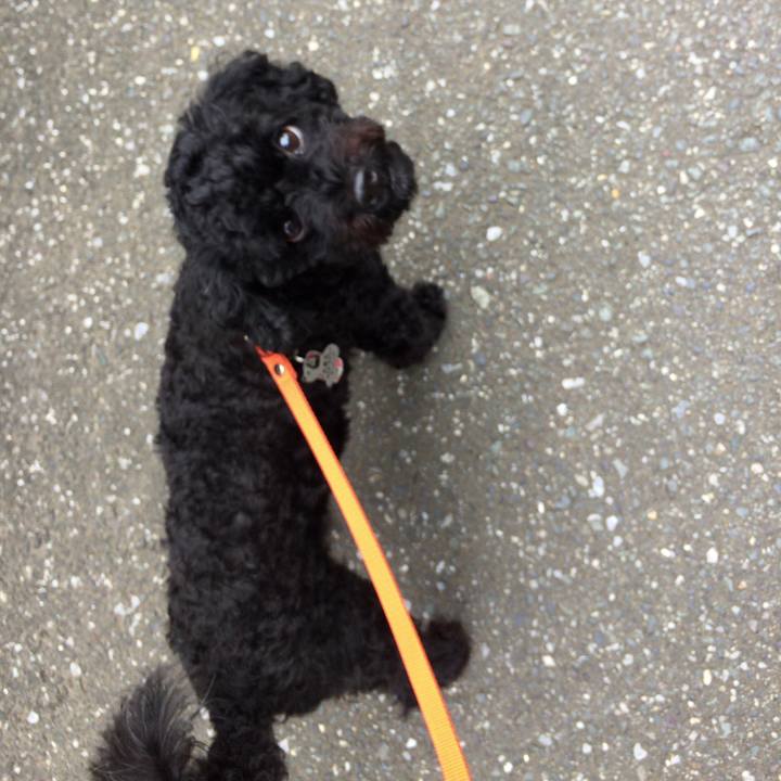 76190a3c 2b9b 438f a9df 5674236b7e0d