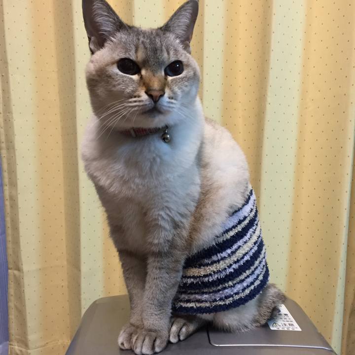 7619bd48 22f3 41a7 a824 26502796756d