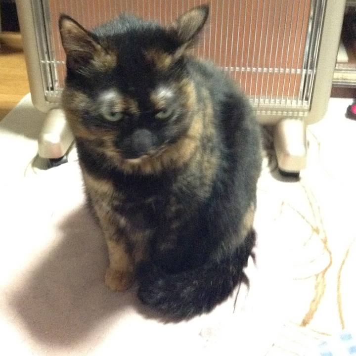 7619d167 dabc 40e1 a348 40c0f01d590a