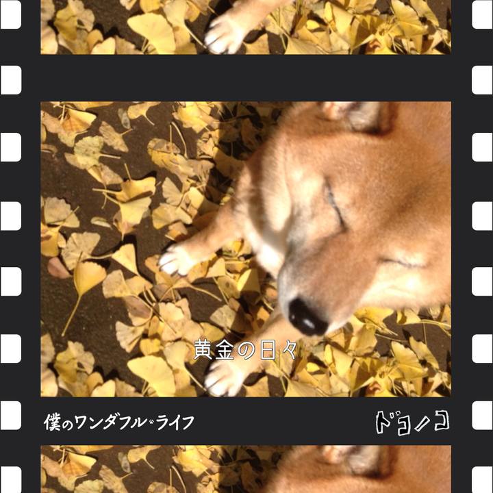 761a14cd c43b 4e33 8f56 f0ec2b4cc065