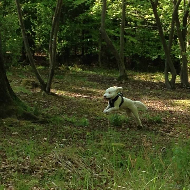 761a5048 81a0 4e51 bb6d 654d1f3b49d8