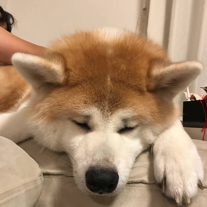 761a71a3 272b 481b bfca be9035de7620