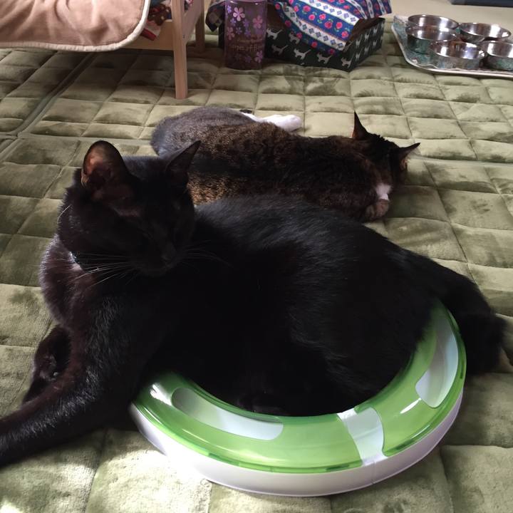 761a8487 b931 471b 84ac d69e5079b703