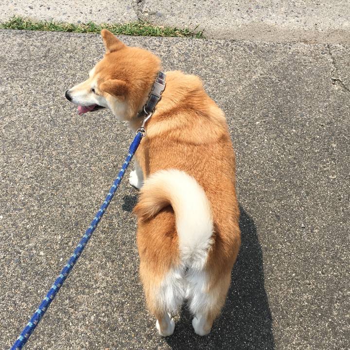 761b4ce9 fd11 4fb9 a388 15e3a03e863a