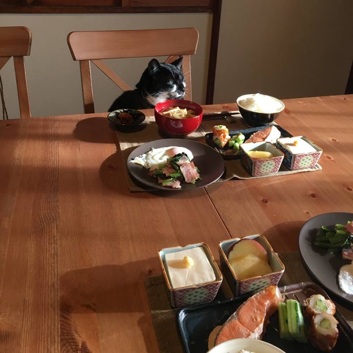 761b69a8 ef8a 4232 a4c1 edd02a9f92eb