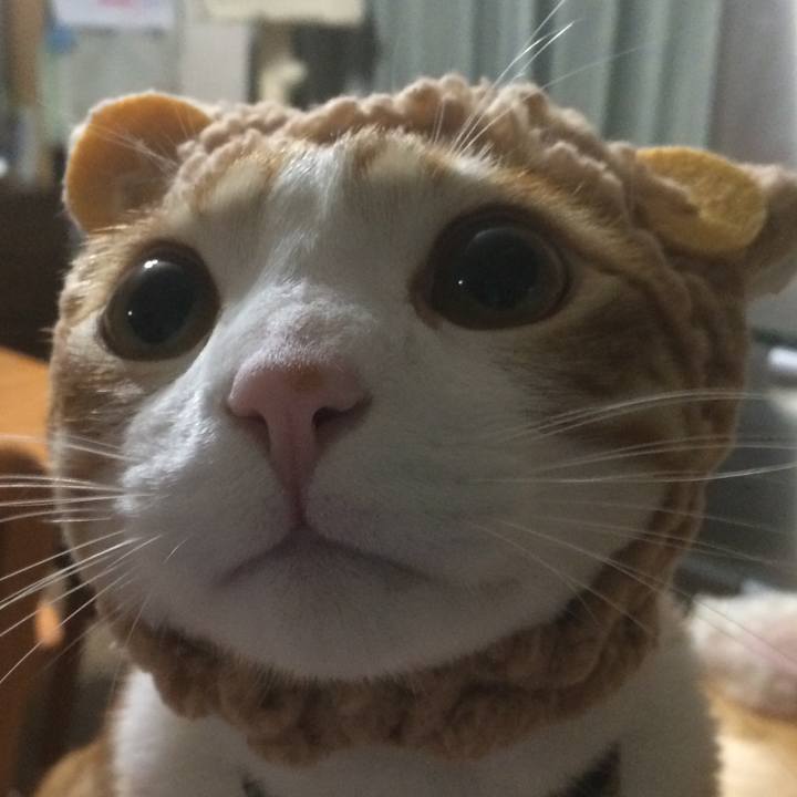 761beca0 426b 4ec5 9e92 39c14a94a037