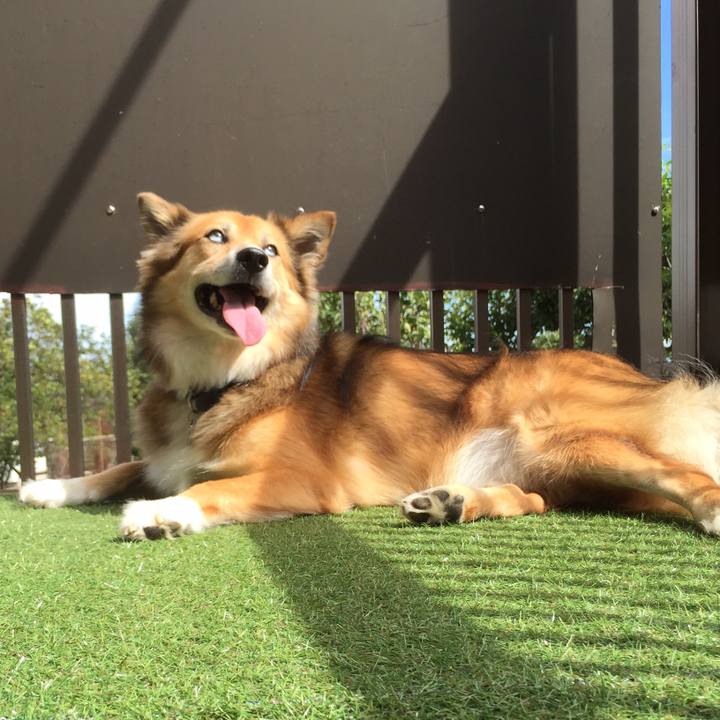 761cbbf5 4442 473b a8ef f46e6209bfc1