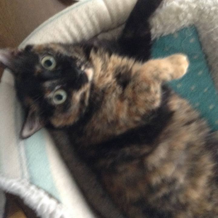 761d3312 38ad 45c6 8cf4 7b881c8d9f9b