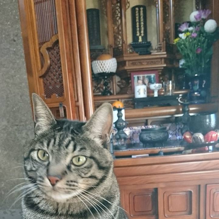 761de21a d81f 4050 a2c8 5f30e76b4bd4