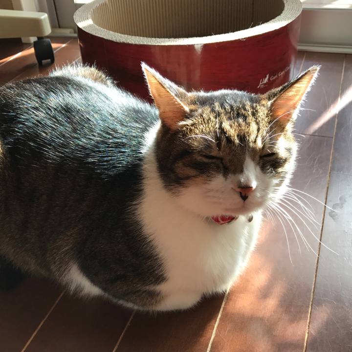 761df862 4a3e 47a4 b0ff 7f5031c2e6c0