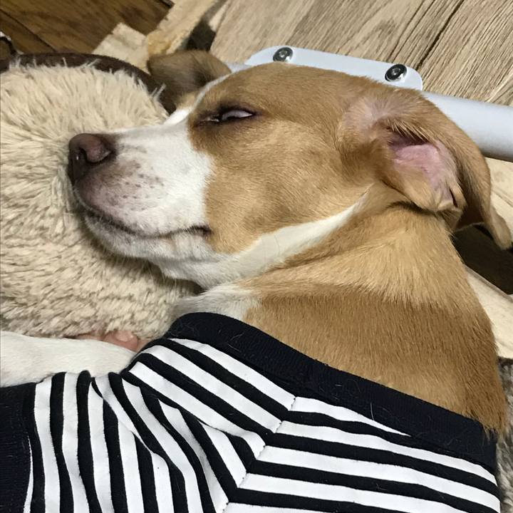 761e534a be15 484e bf75 dd5b54e08b6f