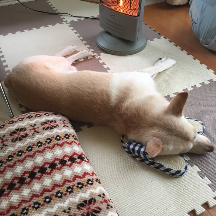 761e775f 0603 43a1 8025 47d8bb938d8b