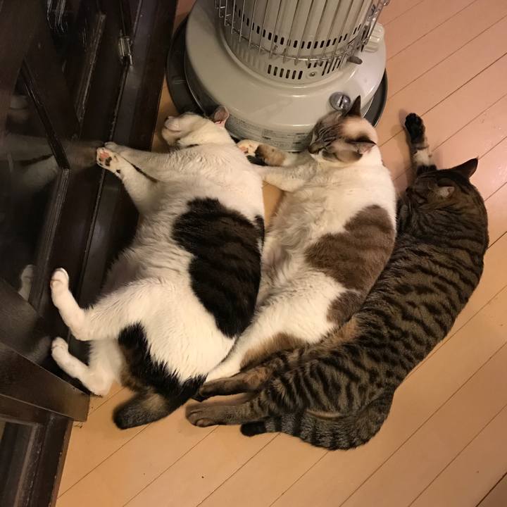 761ea4ec 47f7 4fdc 82e6 29b3035411be