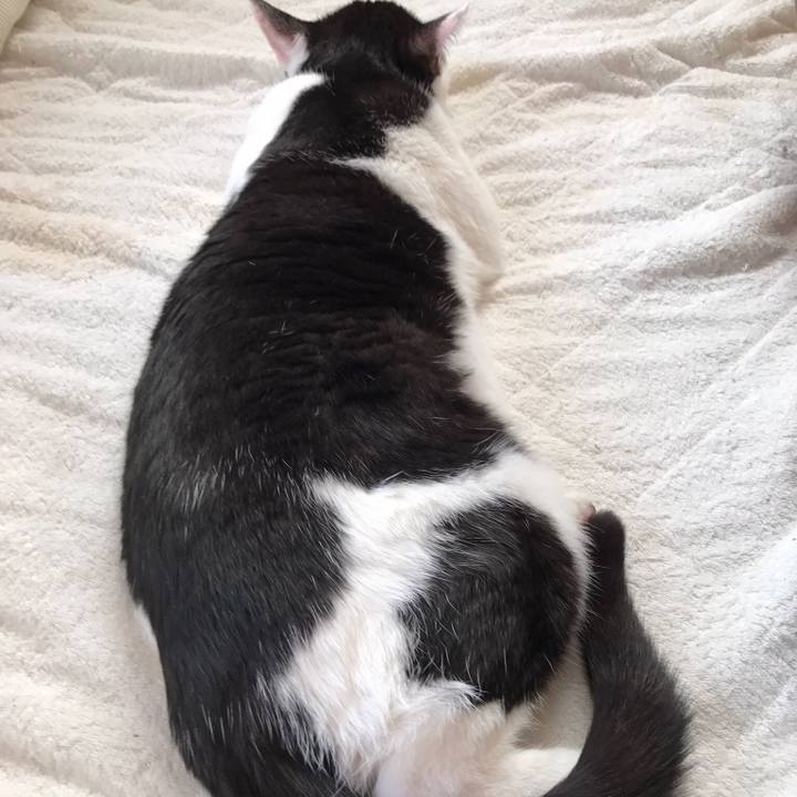 761f60be 7455 4e30 918f ac5db89bf26d