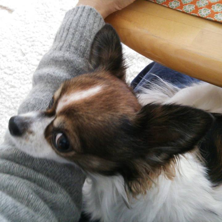 761f61e7 c496 40e8 a836 cdf871ad8e1e