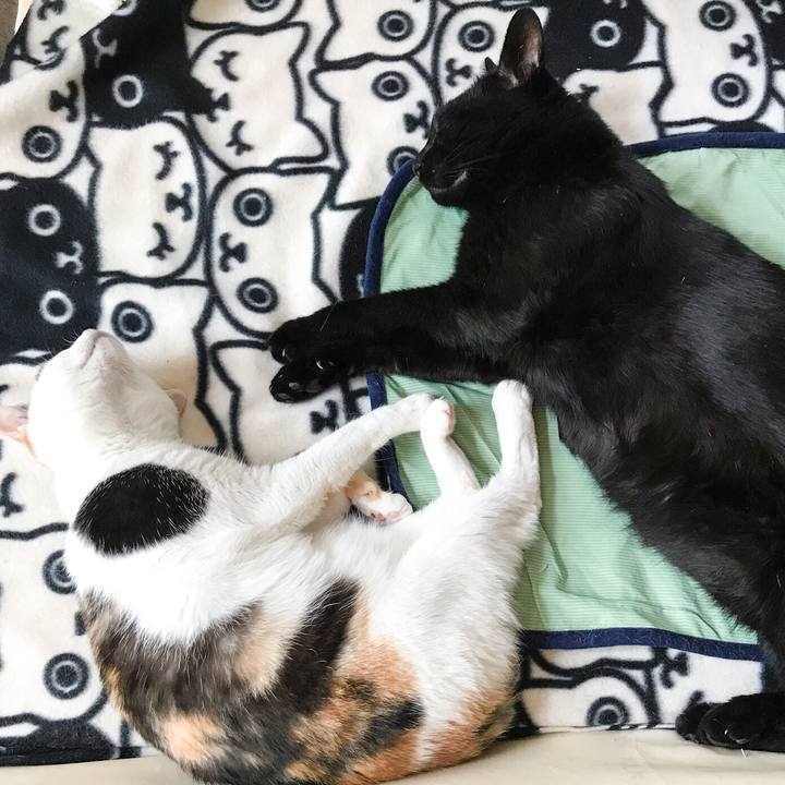 761f675c f227 40e9 8fbf bb6ff193363f