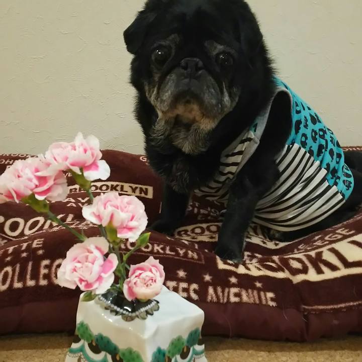 762087ff bcc6 4013 9c25 e9792e214d22