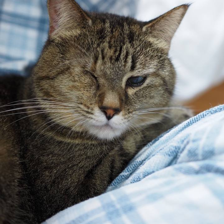 76209bc7 2228 4467 b5ad 5c586c9ad7c2