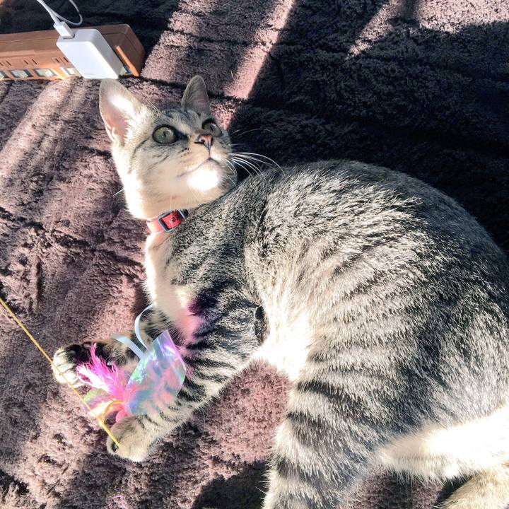 7620bb7a 53e8 465a 8591 3cf13c337d35