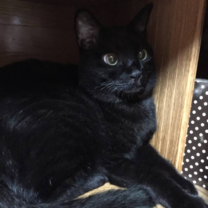 7620d25d a13b 4860 8955 deb9abf506c7