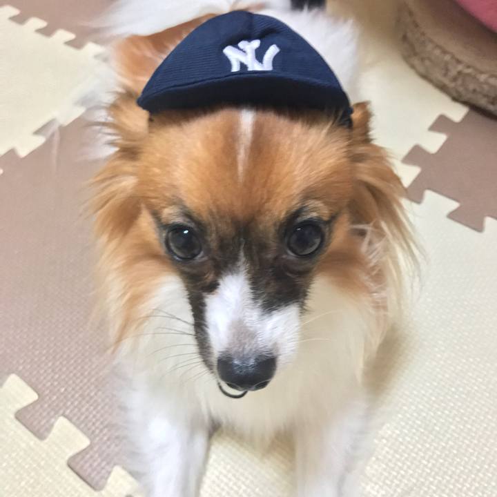 7620fdc7 efd2 4655 9a16 7d2495dc6b2f