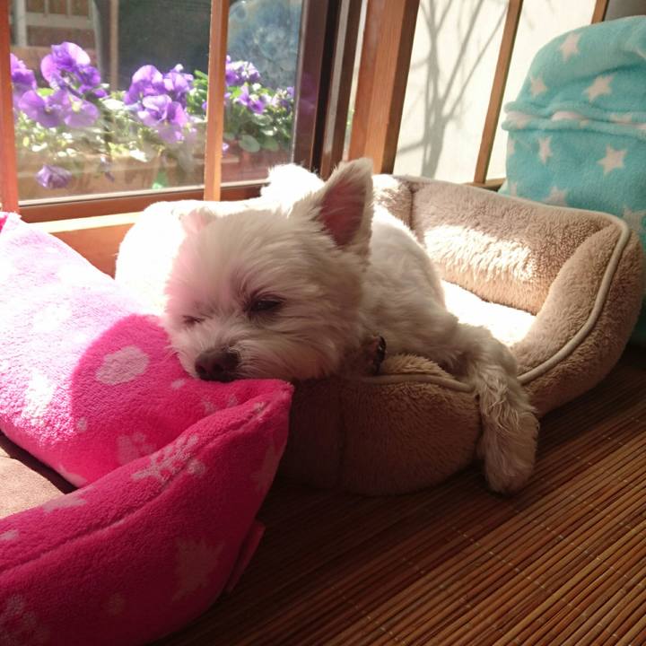 762120a6 7d85 4e0d 8a7b e0e58ebdbd24