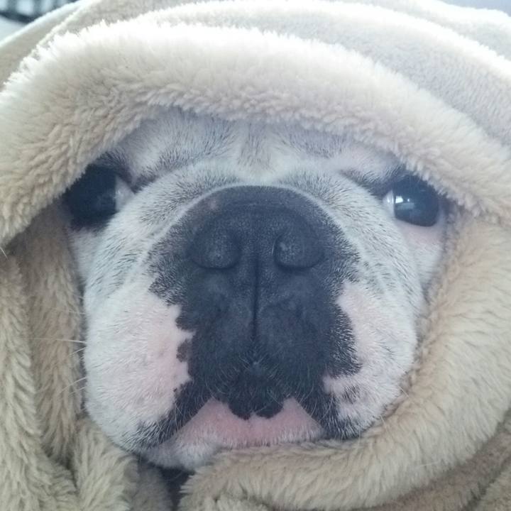 7621f52e ef1a 44da 9c99 9ea07665f3a1