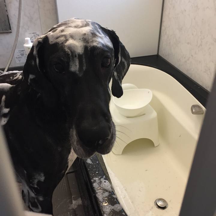 76235ddf 800d 40ed 91a5 eb7a476b86f3