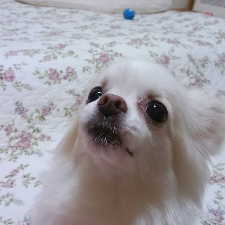 7623a6fc 6eab 4fd7 b0c0 3095ea7c9121