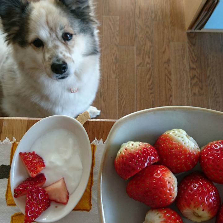 76241954 ecf3 428a a8bd 3c8c1137a705