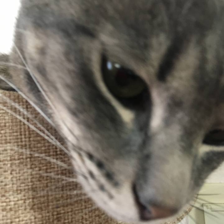 762511fa 5a52 4cfe bb83 1caa5cdc265a