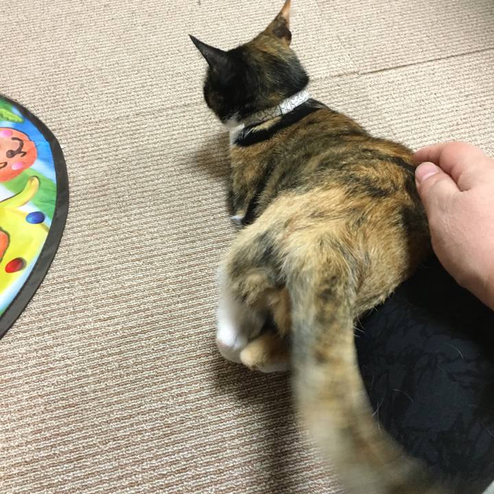 76253e33 2db5 46e6 82e6 a7c0c5e11d79