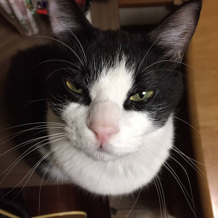 7625ed94 f008 41a7 8f0a 8610dba8b1d3