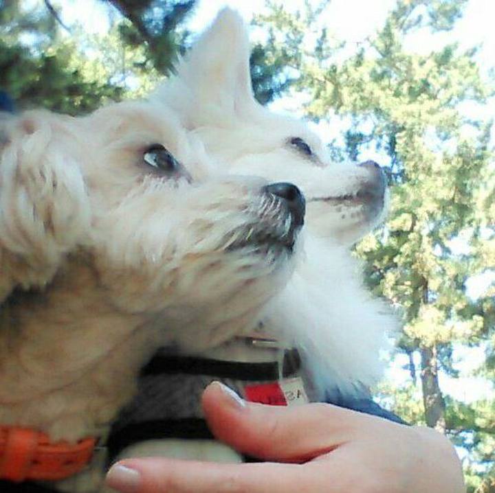 76262504 1783 49b4 9158 e37285f17e6c